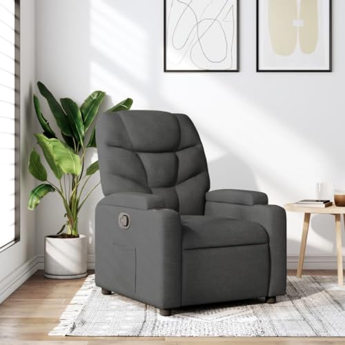HUAKEHOM Relaxsessel Sessel mit Liegefunktion Fernsehsessel Verstellbare Rückenlehne Liegesessel Ruhesessel Polstersessel Dunkelgrau Stoff HUAKEHOM Relaxsessel Sessel mit Liegefunktion Fernsehsessel Verstellbare Rückenlehne Liegesessel Ruhesessel Polstersessel Dunkelgrau Stoff von HUAKEHOM