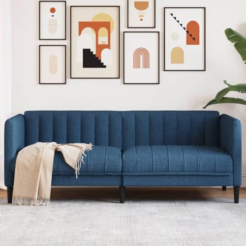 HUAKEHOM Sofa 2-Sitzer Blau Stoff von HUAKEHOM