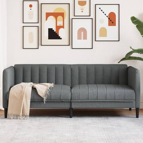 HUAKEHOM Sofa 2-Sitzer Dunkelgrau Stoff von HUAKEHOM