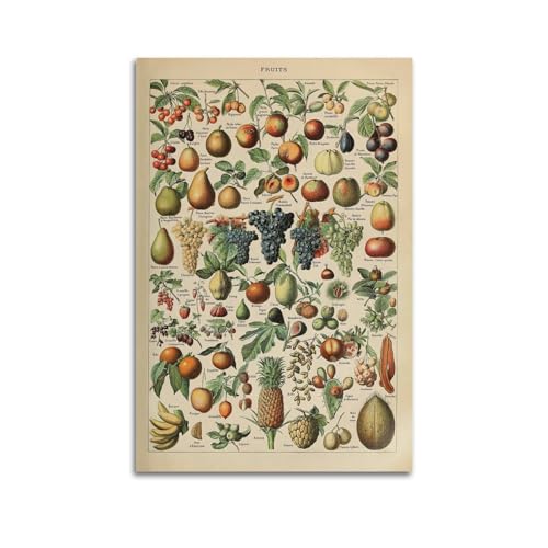 HUANA Vintage-Poster, Obst-Poster, dekoratives Gemälde, Leinwand, Wandposter und Kunstbild, Druck, moderne Familienschlafzimmer-Dekoration, Poster, 40 x 60 cm HUANA Vintage-Poster, Obst-Poster, dekoratives Gemälde, Leinwand, Wandposter und Kunstbild, Druck, moderne Familienschlafzimmer-Dekoration, Poster, 40 x 60 cm von HUANA