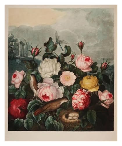 HUANTY Wandbilder auf Leinwand Ausstellung Kunst Lilie Tulpe Illustration Vintage Poster Kein Rahmen Leinwand Gemälde Wand Kunst Bilder Wohnkultur(O,60X90cm) von HUANTY