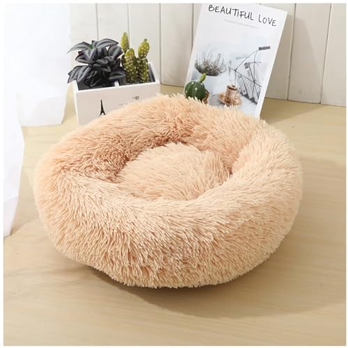 HUAXIQUE Hundebett Waschbar Fluffy Hundebett katzenbettfür Katzen Und Kleine Mittelgroße Hunde Waschbar Haustierbett Anti Rutsch Noppenboden 60cm Champagner von HUAXIQUE