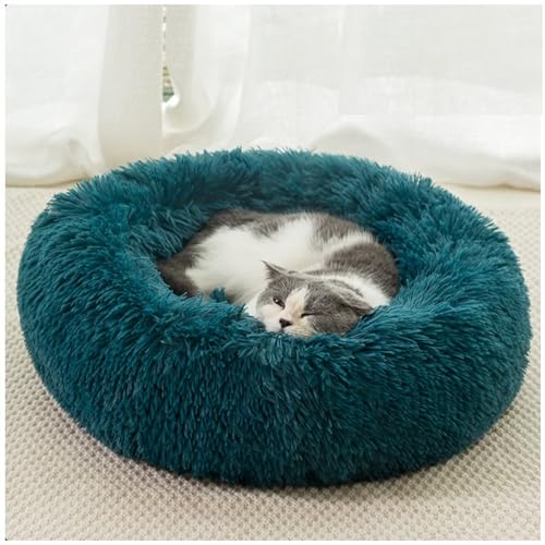 HUAXIQUE Hundebett Waschbar Fluffy Hundebett katzenbettfür Katzen Und Kleine Mittelgroße Hunde Waschbar Haustierbett Flauschiges Hundebett 50cm Zyan HUAXIQUE Hundebett Waschbar Fluffy Hundebett katzenbettfür Katzen Und Kleine Mittelgroße Hunde Waschbar Haustierbett Flauschiges Hundebett 50cm Zyan von HUAXIQUE