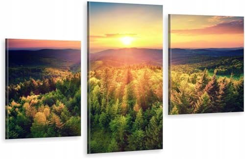 HUBDECO 3-Teiliges Leinwand Bild Wohnzimmer - Bilder, Poster, Kunstdrucke - Leinwandbild - Bild auf Leinwand - Tolle Zimmerdekoration - Schlafzimmer Bilder - 94x60 cm Berge Wald von HUBDECO