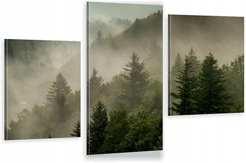 HUBDECO 3-Teiliges Leinwand Bild Wohnzimmer - Bilder, Poster, Kunstdrucke - Leinwandbild - Bild auf Leinwand - Tolle Zimmerdekoration - Schlafzimmer Bilder - 94x60 cm Bergnebel Natur von HUBDECO