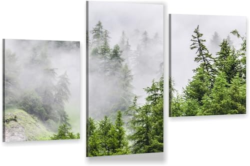 HUBDECO 3-Teiliges Leinwand Bild Wohnzimmer - Bilder, Poster, Kunstdrucke - Leinwandbild - Bild auf Leinwand - Tolle Zimmerdekoration - Schlafzimmer Bilder - 94x60 cm Wald Nebel von HUBDECO