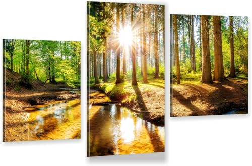 HUBDECO 3-Teiliges Leinwand Bild Wohnzimmer - Bilder, Poster, Kunstdrucke - Leinwandbild - Bild auf Leinwand - Tolle Zimmerdekoration - Schlafzimmer Bilder - 94x60 cm Wald Sonne von HUBDECO