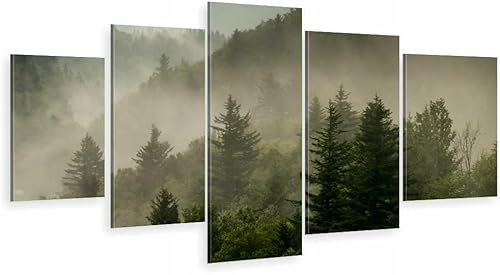 HUBDECO 5-Teiliges Leinwand Bild Wohnzimmer - Bilder, Poster, Kunstdrucke - Leinwandbild - Bild auf Leinwand - Tolle Zimmerdekoration - Schlafzimmer Bilder - 158x90 cm Berg Nebel Natur von HUBDECO