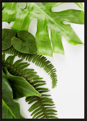 HUBDECO Bild Wanddekoration Poster - Hochwertiges Poster gedruckt auf 200g/m2 Posterpapier - Tolle Zimmerdekoration - Schlafzimmer Bilder - Ohne Ramen - 70x50cm - Monstera-Blätter 1 HUBDECO Bild Wanddekoration Poster - Hochwertiges Poster gedruckt auf 200g/m2 Posterpapier - Tolle Zimmerdekoration - Schlafzimmer Bilder - Ohne Ramen - 70x50cm - Monstera-Blätter 1 von HUBDECO