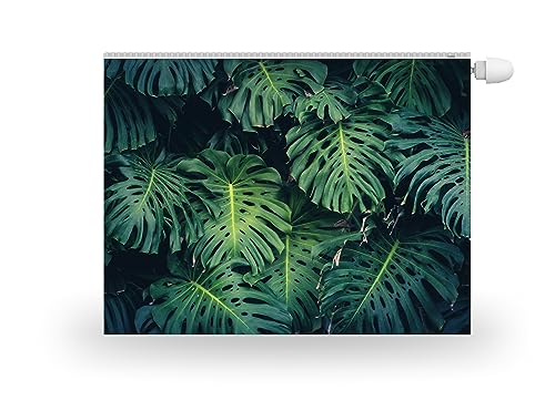 HUBDECO Magnetische Heizkörperverkleidung - 80x60 cm - Magnet Heizkörperabdeckung - Motiv Monstera Grün - Wasserdicht Erhöhte Abriebfestigkeit Paneel-Heizkörperabdeckung von HUBDECO