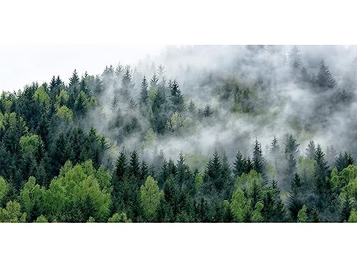 HUBDECO Schutzunterlage für den Schreibtisch - Schützt Schreibtisch vor Kratzern und Schäden - Langlebig, Hitzebeständig - Pflegeleicht, Wasserfest - Mauspad - 120x60cm - Nebelwald von HUBDECO