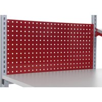 Rocholz Lochrückwand SYSTEM FLEX 800x30x200 mm RAL3003 Rocholz Lochrückwand SYSTEM FLEX 800x30x200 mm RAL3003 von Rocholz