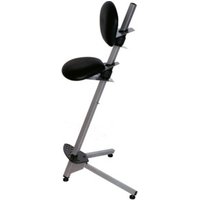 Rocholz Stehhilfe ErgoPlus 3000 inklusive Fußstütze Rocholz Stehhilfe ErgoPlus 3000 inklusive Fußstütze von Rocholz