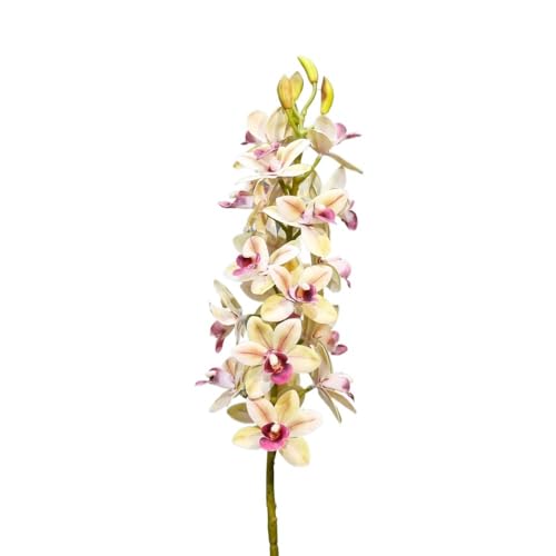 HUFFA Realistische Simulation Orchidee - Phalaenopsis Seidenblume for die Heimdekoration(EastAramlightgreen) von HUFFA