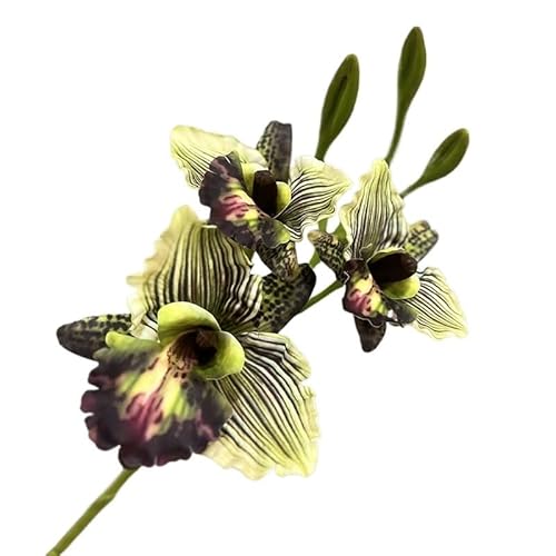 HUFFA Simulation Phalaenopsis Orchidee Künstliche Blume - Retro Ölgemälde Magnolie for Wohnkultur(Green) von HUFFA