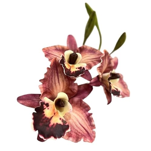 HUFFA Simulation Phalaenopsis Orchidee Künstliche Blume - Retro Ölgemälde Magnolie for Wohnkultur(Rosered) von HUFFA