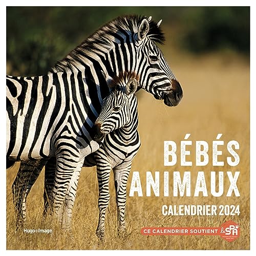 Calendrier mural Bébés animaux 2024 Calendrier mural Bébés animaux 2024 von HUGO IMAGE