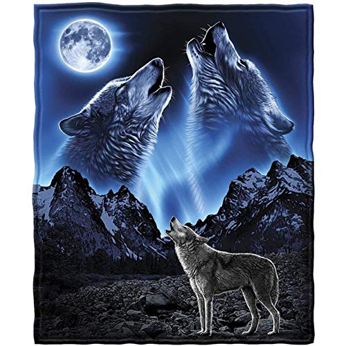 HUGS IDEA Heulender Wolf Sherpa Fleece Decke, Aurora Wolf Cool Tier Muster Blau Weich Plüsch Flanell Decke Überwürfe Maschinenwaschbar, Geeignet für Herbst Winter und Frühling - L von HUGS IDEA