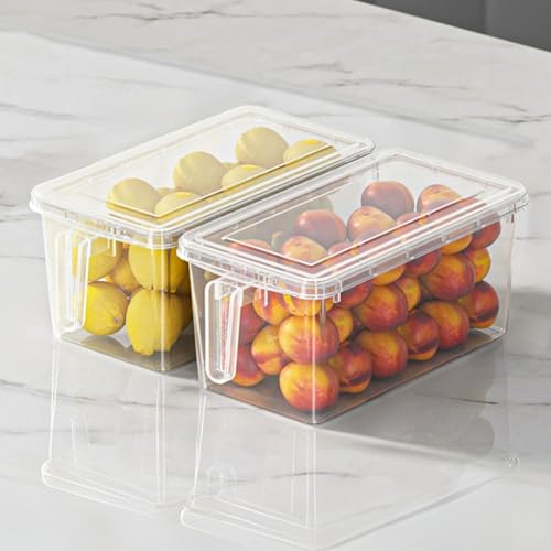 HUHJYUGE 2er-Set Kühlschrank Aufbewahrungsboxen mit Deckel und Griff, Stapelbare Lebensmittelboxen für Gemüse, Eier oder Teigtaschen, für Kühlschrank oder Gefrierfach (29x15.5x12cm) von HUHJYUGE