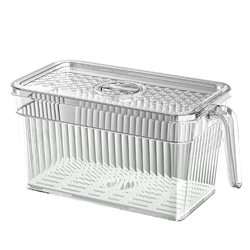HUHJYUGE Kühlschrank Aufbewahrungsbox mit Deckel und Griff, Transparente Frischhaltebox für Gemüse, Obst, Lebensmittel, Aus BPA-freiem PET, Für Kühlschrank oder Gefrierfach (A) von HUHJYUGE