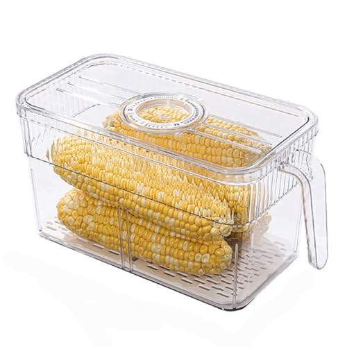 HUHJYUGE Kühlschrank Organizer mit Deckel, Stapelbaren Kühlschrank-Organizern, Herausziehbare Behälter für Fridge Organizer mit Griff, Kühlschrank-Aufbewahrungsbox mit Timer (A) von HUHJYUGE