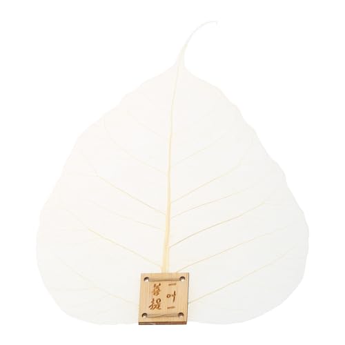 Natural Bodhis Leaf Tea Filter Leaves Tea Mesh Sieb Infuser Teegeschirr Tee Leckaging Zubehör für Kung Fu Leaf Teefilter, Teebereiter Natural Bodhis Leaf Tea Filter Leaves Tea Mesh Sieb Infuser Teegeschirr Tee Leckaging Zubehör für Kung Fu Leaf Teefilter, Teebereiter von HUIFACAI