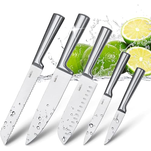 HUIKAILI Messer Set 5-tlg, Profi Küchenmesser Set aus Edelstahl, Scharfes, Rutschfester, Gefrosteter Griff, mit Santoku, Kochmesser, Brotmesser, Universalmesser, Gemüsemesser von HUIKAILI