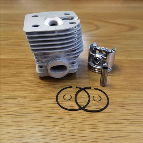HUILA FS550 Zylinderkolbensatz 46 mm, passend for FS420 FS550 Trimmer-Ersatzteile(Nikasil Plated) von HUILA