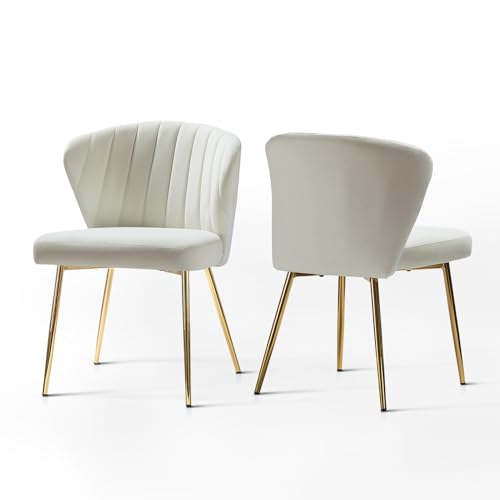 HULALA HOME Esszimmerstühle 2er Set Modern Küchenstühle aus Samt Stühle Esszimmer mit Metallbeine Esstisch Stühle Schminktisch Stuhl für Wohnzimmer, Weiß von HULALA HOME