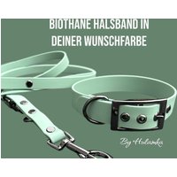 Biothane Halsband in 25mm Breite Deiner Wunschfarbe von HULAMKA