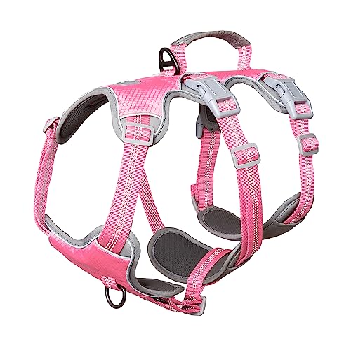 Huntboo Hunde Sicherheitsgeschirr, Reflektierendes Geschirr mit Gepolstertem Griff, Wasserdicht, Verstellbare Weste für Kleine Hunde Zum Gassi Gehen, Trainieren (Rosa,S) von Huntboo