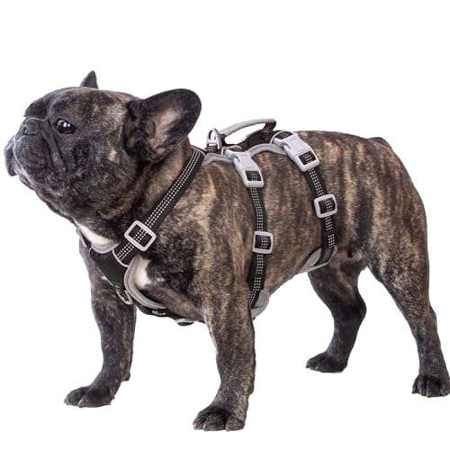 Huntboo Hunde Sicherheitsgeschirr, Sicherheitsgeschirr für Hunde, Vollständig Reflektierendes Geschirr mit Gepolstertem Griff, Wasserdicht, Verstellbare Weste (Schwarz, M) von Huntboo