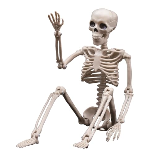 HUPYOMLER 1 Stück Halloween Skelette Dekorationen Bewegliche Kunststoff Skelett Ganzkörper Skelett mit beweglichen Gelenken Weiß von HUPYOMLER
