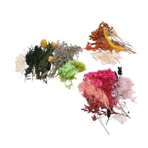 HUSHUI 3 Schachtel Getrocknete Blumenbündel Künstliche Blumenherstellung Materialien Kit Home Dekoration Vorräte von HUSHUI