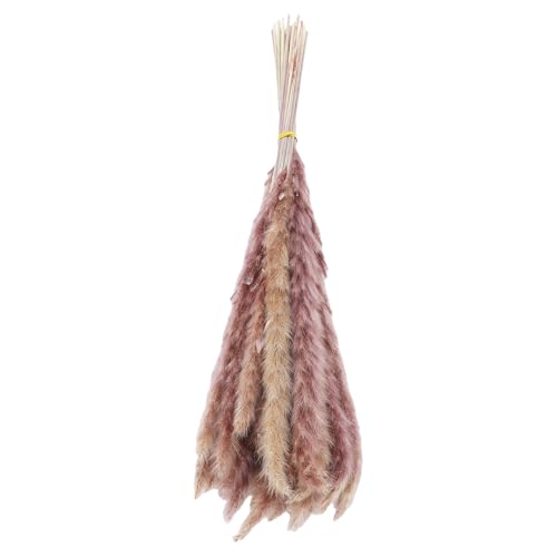HUSHUI Getrocknete Blumen Bouquet Mini Reed mit Stamm für Blumenarrangements Hausdekoration HUSHUI Getrocknete Blumen Bouquet Mini Reed mit Stamm für Blumenarrangements Hausdekoration von HUSHUI