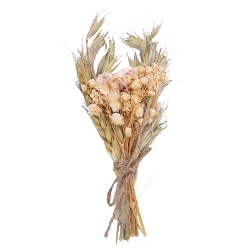 HUSHUI Getrocknete Blumenstrauß Mini Hochzeit Handgefertigte Trockene Blumen Geburtstagsfeier Wohnkultur HUSHUI Getrocknete Blumenstrauß Mini Hochzeit Handgefertigte Trockene Blumen Geburtstagsfeier Wohnkultur von HUSHUI