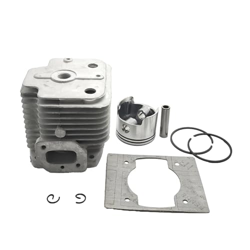 48mm Zylinderkolbendichtungssatz for 1E48F 48F 63CC 6300 2-Takt-Motor Erdbohrer Bohrgebläse Freischneider Teile von HUTJWYN