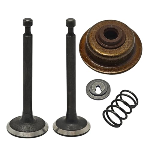 Ansaugstutzen Federhalter Stem Seal Lock Kit for GX35 GX35NT HHT35S Freischneider Kleinmotor Ansaugstutzen Federhalter Stem Seal Lock Kit for GX35 GX35NT HHT35S Freischneider Kleinmotor von HUTJWYN