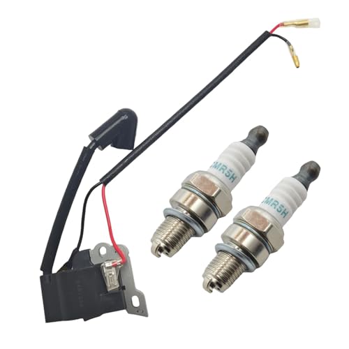 HUTJWYN Zündspule Modul Zündkerze Kit for GX35 UMK435 GX 35 4 Hub Rasenmäher Motor Motor Teile HUTJWYN Zündspule Modul Zündkerze Kit for GX35 UMK435 GX 35 4 Hub Rasenmäher Motor Motor Teile von HUTJWYN