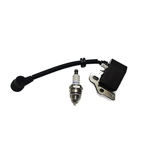 HUTJWYN Zündspule Zündkerze BM6A PASST PRO 302138 219848 00 219848 01 Stück von HUTJWYN