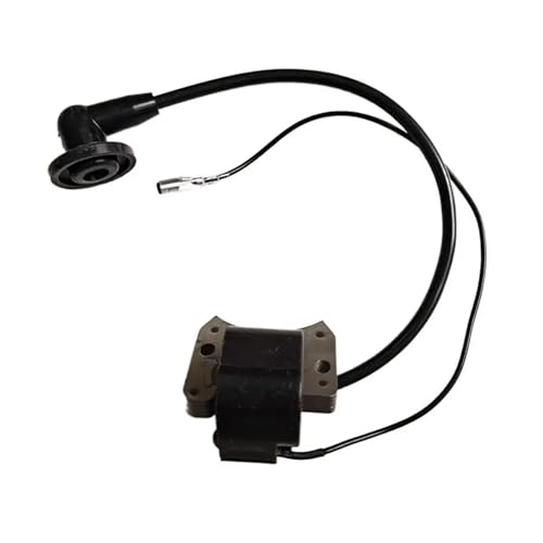 HUTJWYN Zündspule for 22R 22RL 25R 25RL OEM Keine 501950101 von HUTJWYN