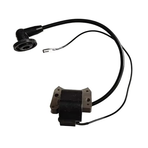 HUTJWYN Zündspule for 22R 22RL 25R 25RL OEM Nr. 501950101 von HUTJWYN