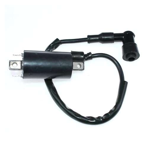HUTJWYN Zündspule for T20 T125 T250 T250R T305 T350 T500 TC90 TC100 TC120AC100 AS50 GT185 GT250 GT380 GT500 GT550 GT750 von HUTJWYN