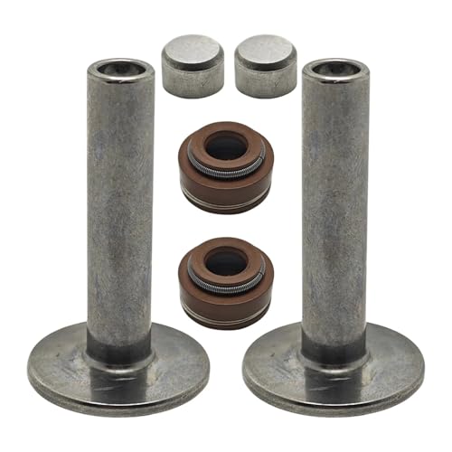 Heber Tapper Stem Seal Schutzkappensatz for GX390 13HP GX 390 188F Motorteil Heber Tapper Stem Seal Schutzkappensatz for GX390 13HP GX 390 188F Motorteil von HUTJWYN