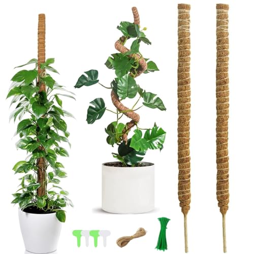 HUTVD 2 Stück 120CM Monstera Rankhilfe, Pflanzstab Kokos, Moosstab Pflanzstab, Rankhilfe Zimmerpflanzen, Stab Pflanzstab Monstera für Kletterpflanzen Pflanzenname Pflanzzeit Pflanzenunterstützung von HUTVD