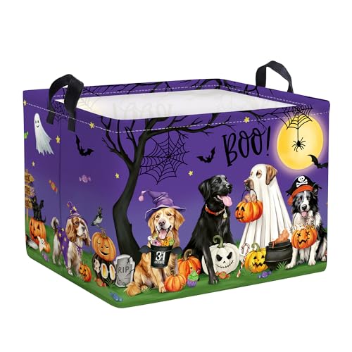 HUUMONSS Spooky Halloween Kinder Aufbewahrungskorb Geist Fledermaus Kürbis Faltbar für Jungen Mädchen Buh Groß Kleidung Spielzeug Wäschekorb für Kinderzimmer Bad,Lila Hund,40*30*30 cm HUUMONSS Spooky Halloween Kinder Aufbewahrungskorb Geist Fledermaus Kürbis Faltbar für Jungen Mädchen Buh Groß Kleidung Spielzeug Wäschekorb für Kinderzimmer Bad,Lila Hund,40*30*30 cm von HUUMONSS