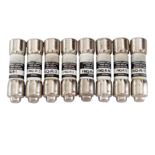 HUUOQIWY 10PCS Sicherung FNQ-R-1/2 FNQ-R-1 FNQ-R-2 FNQ-R-3 FNQ-R-4 FNQ-R-5 FNQ-R-8 FNQ-R-10 FNQ-R-12 FNQ-R-30 FNQ-R 0,25A ~ 30A 600VAC(FNQ-R-3 3A) von HUUOQIWY