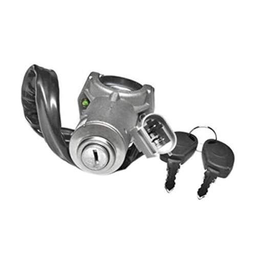 HUVNEXA 2992551 2991727 Zündschlossschlüssel Zündschloss Zylinder Türschloss Zylinder Türschlosssatz, for IVECO, Daily 2000-2006 (Farbe: 9 Stück) Autotürschlossriegel(BLACK 9 Pcs) von HUVNEXA