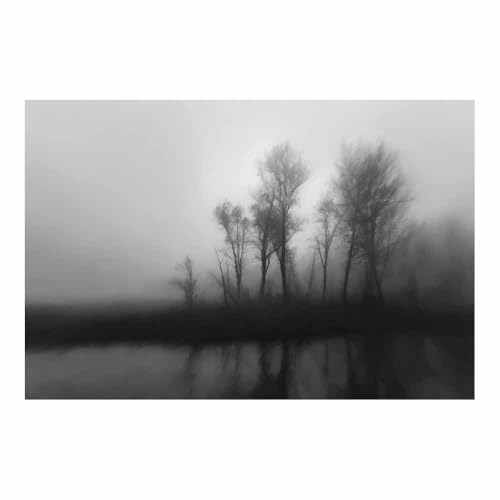 HUYEEI Leinwandbilder Bäume im Nebel Ästhetische Bilder - abstraktes Deko Wohnzimmer - Wandbilder Schlafzimmer - Wand Deko -Badezimmer, Büro(grau40)-60x90cm Ungerahmt von HUYEEI