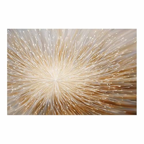 HUYEEI Modern Wandbild Kunstdruck auf Leinwand Bild Abstrakt Radiale Muster Moderne Kunst,Wohnzimmer Deko Schlafzimmer über Bett Room Decor Geschenke(goldene46)-20x30cm Ungerahmt von HUYEEI